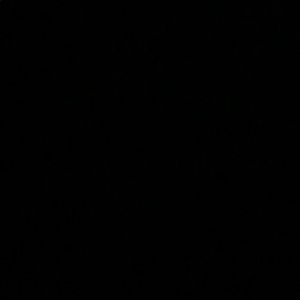 Meet your Posher, Makena